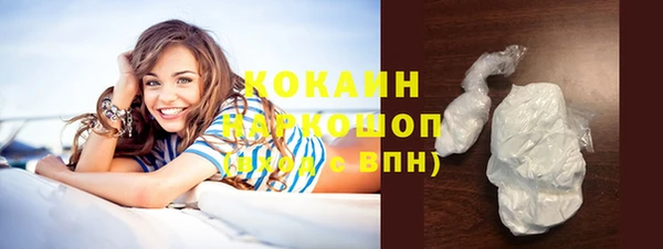 apvp Вяземский