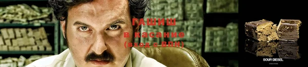 apvp Вяземский