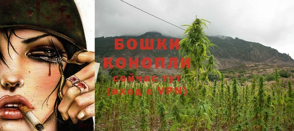 apvp Вяземский