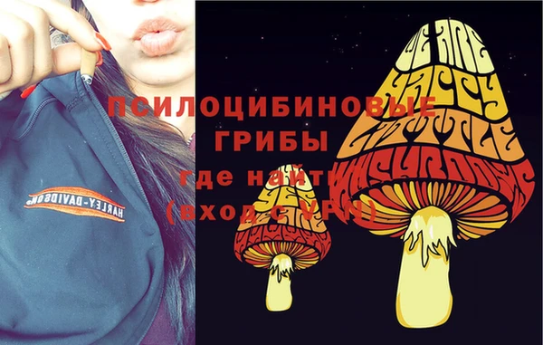 apvp Вяземский