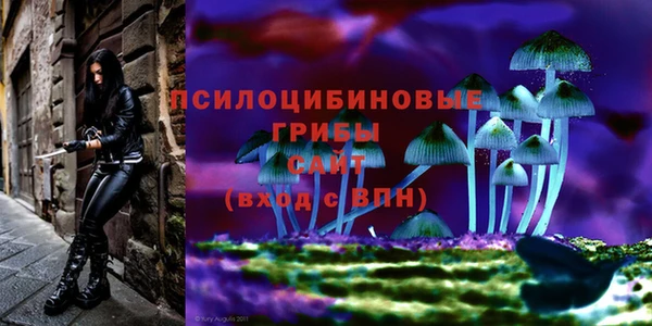 эйфоретик Вязьма