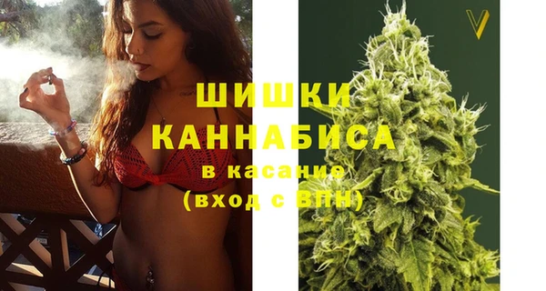 apvp Вяземский