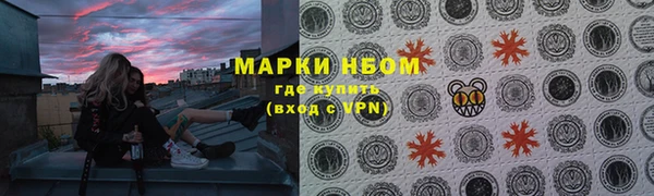 apvp Вяземский