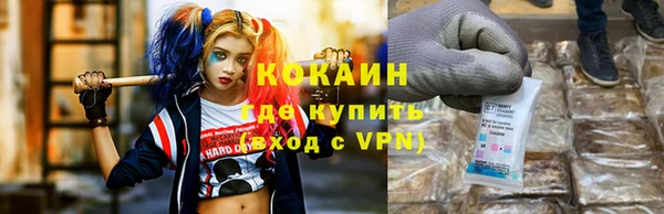 apvp Вяземский