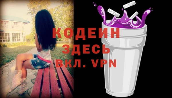 apvp Вяземский