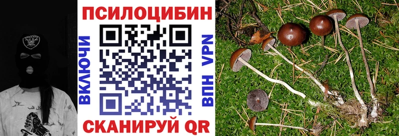 Купить где  Арзамас  Галлюциногенные грибы мухоморы 